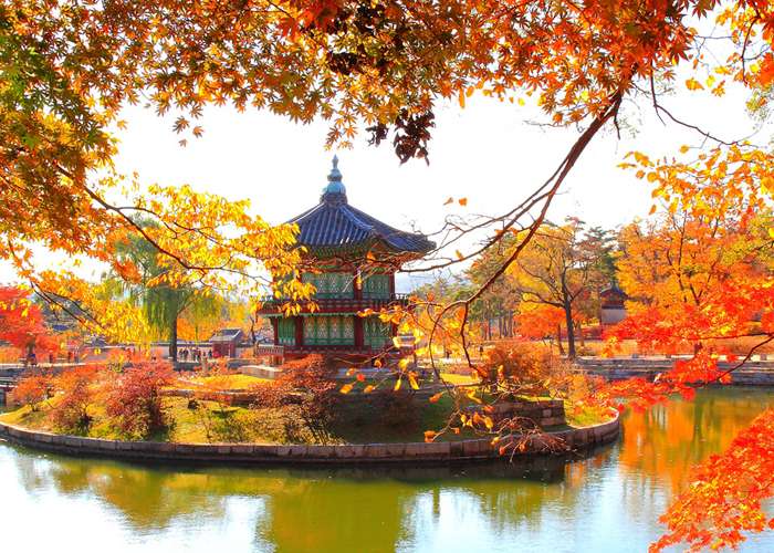 Tour du lịch Hàn Quốc mùa thu 6 ngày giá rẻ 