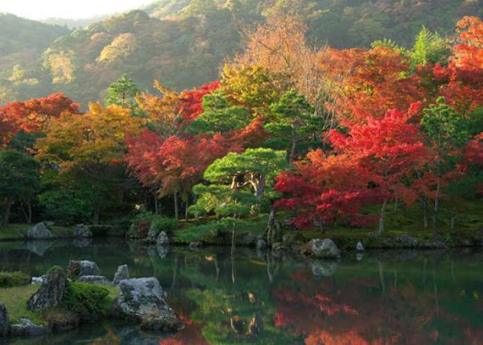 Tour du lịch Nhật Bản mùa lá đỏ 7 ngày 6 đêm
