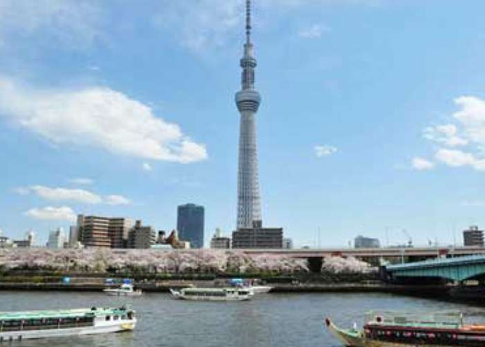 Tour Du lịch khám phá cung đường vàng Nhật Bản hè