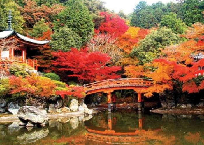 Tour Du Lịch Nhật Bản 5 ngày 4 đêm - Nhật Bản mùa lá đỏ