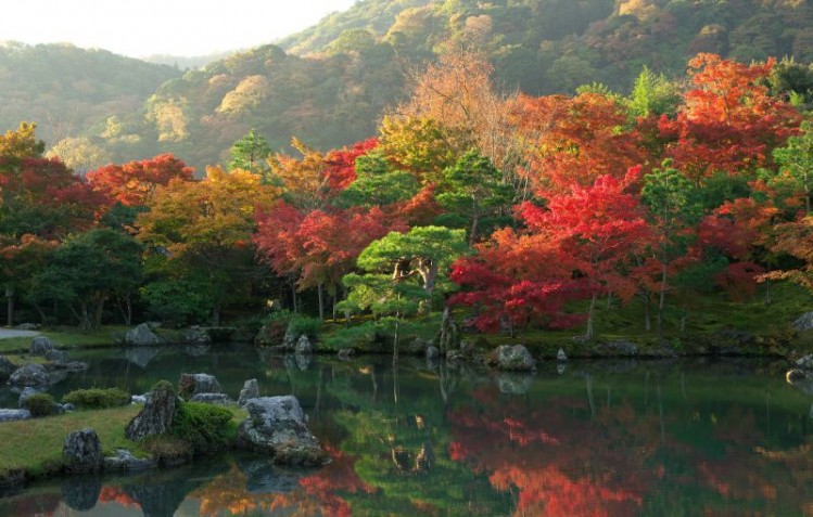 Khu vườn lá đỏ tại Nhật Bản 