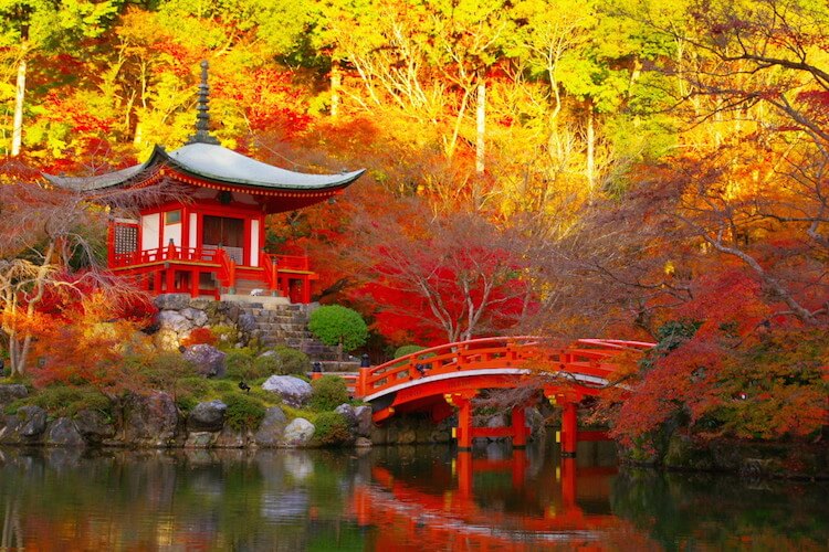 Du lịch Nhật Bản tháng 11 để thưởng thức mùa lá phong 