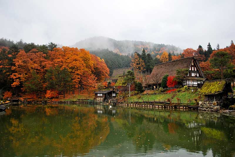 Bạn sẽ được khám phá mùa lá đỏ của tour du lịch Nhật Bản tháng 10