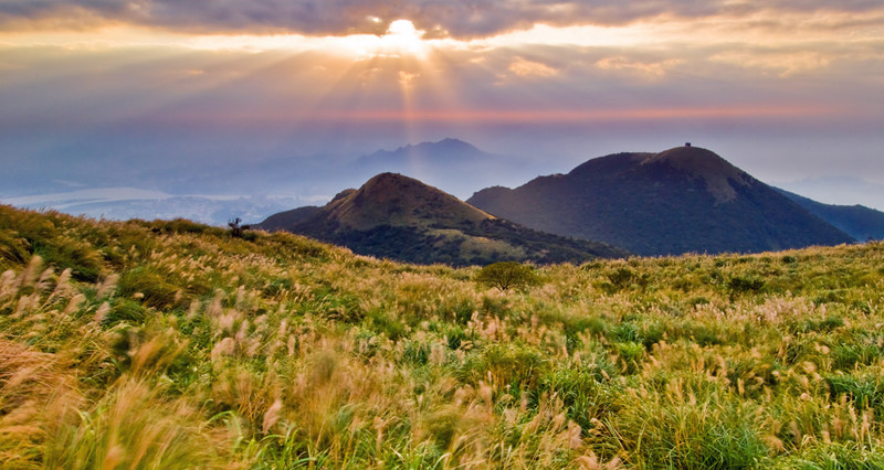 Núi Dương Minh thơ mộng với đám cỏ lau