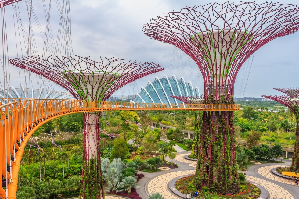 Singapore-Supertrees-at-the-Gardens-By-The-Bay
