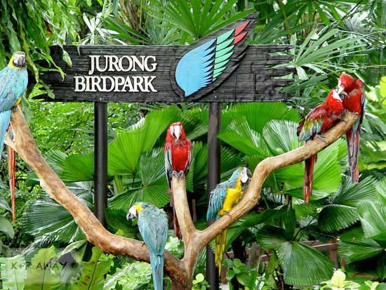 Công viên chim Jurong nổi tiếng