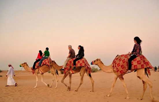 Đến Dubai khám phá sa mạc bằng lạc đà