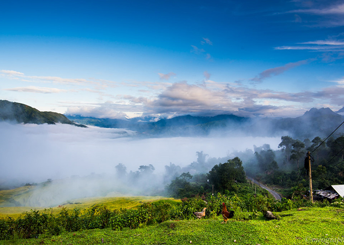 Y Tý Lào Cai bồng bềnh trong mây