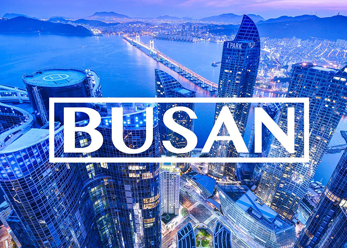 Một Busan sôi động về đêm