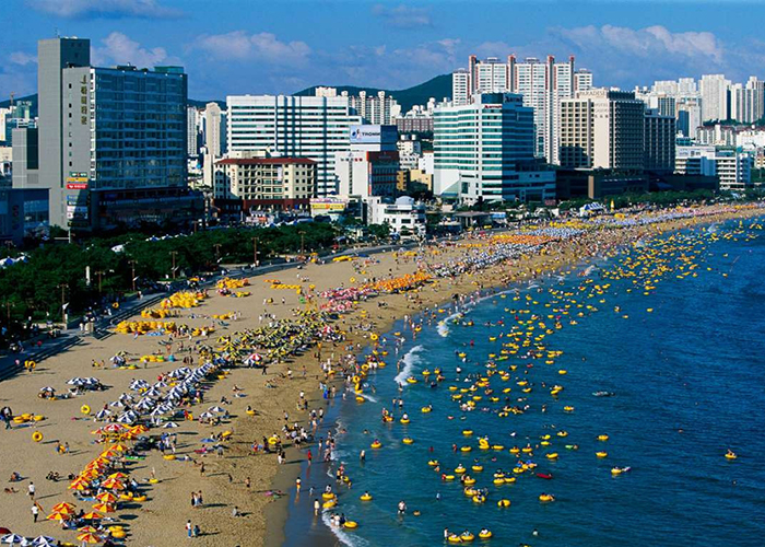 bai-bien-o-busan