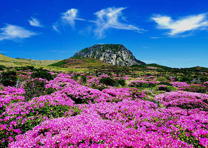 Jeju được bầu chọn là một trong 7 kỳ quan thiên nhiên của thế giới.