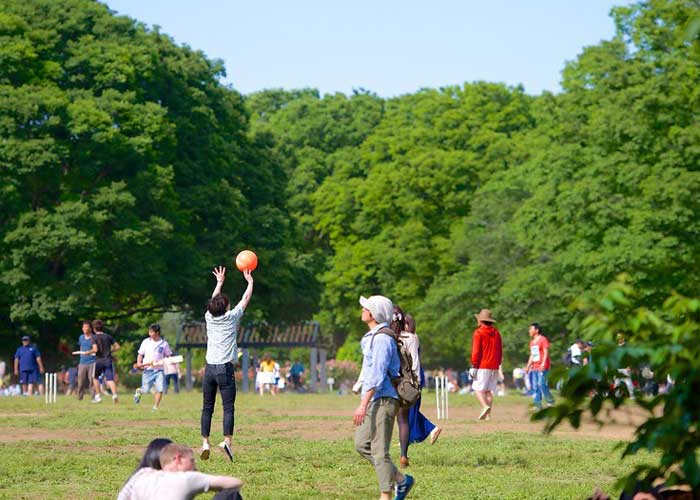 Công viên Yoyogi