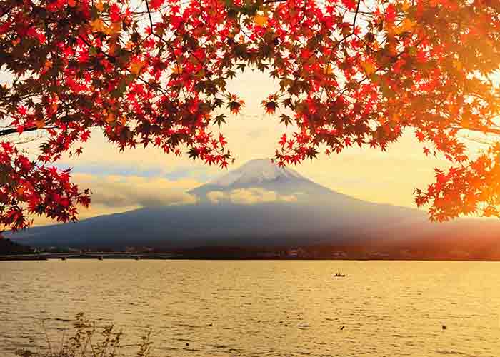 Cảnh đẹp núi Phú Sĩ khi vào mùa thu