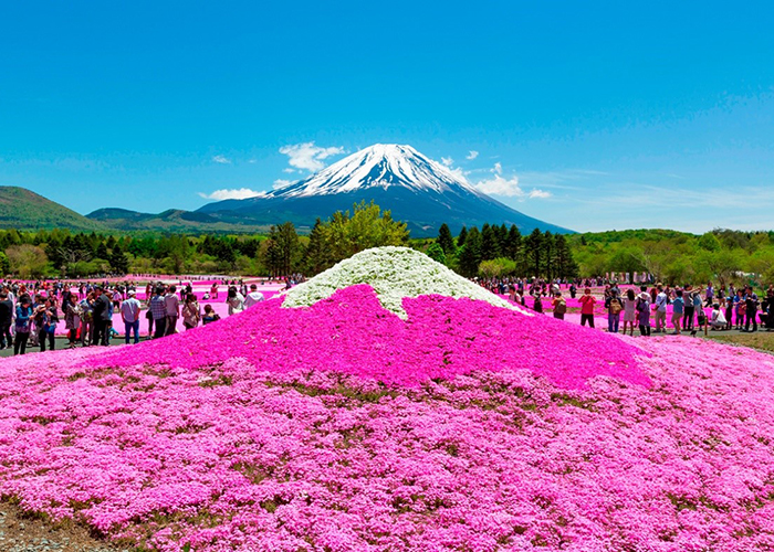 Phú Sĩ là ngọn núi thiêng của người Nhật Bản