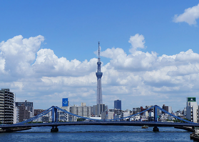 Biểu tượng của thủ đô Tokyo