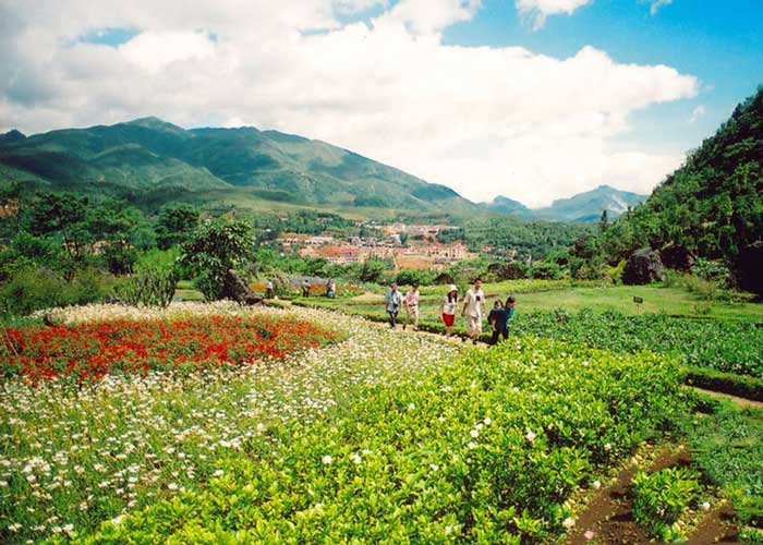 Cẩm nang du lịch Sapa